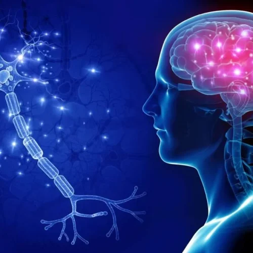 neurology-1024x665-1